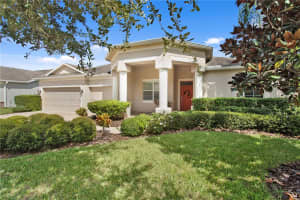 20117 BLUE DAZE AVENUE, TAMPA, FL 33647 - MLS#MFRTB8432144