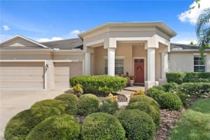 20117 BLUE DAZE AVENUE, TAMPA, FL 33647 - MLS#MFRTB8432144