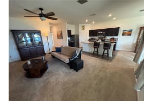 1238 ANCHOR BEND DRIVE, RUSKIN, FL 33570 - MLS#MFRTB8432159
