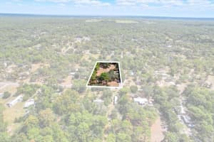 7049 SONATA AVENUE, HOMOSASSA, FL 34446 - MLS#MFRTB8432160
