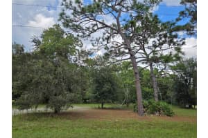 17901 DRIFTWOOD LANE, LUTZ, FL 33558 Sold 11/10/25