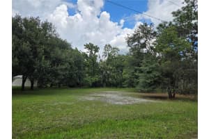 17901 DRIFTWOOD LANE, LUTZ, FL 33558 Sold 11/10/25