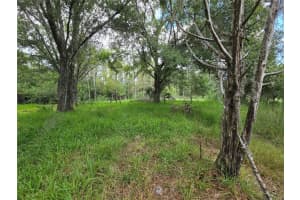 17901 DRIFTWOOD LANE, LUTZ, FL 33558 Sold 11/10/25