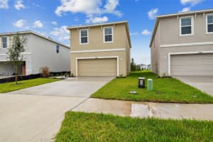 16096 SUNDAY STROLL WAY, ODESSA, FL 33556 - MLS#MFRTB8432196