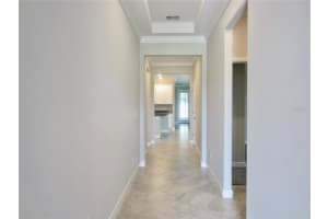 24815 LAMBRUSCO LOOP, LUTZ, FL 33559 - MLS#MFRTB8432203