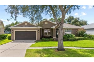 11016 Stone Branch Dr, RIVERVIEW