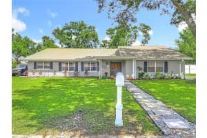 2207 PRINCESS WAY, BRANDON, FL 33511 - MLS#MFRTB8432216