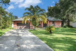 23211 DOVER DRIVE, LAND O LAKES, FL 34639 - MLS#MFRTB8432227