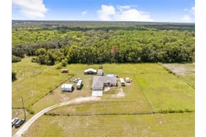 11075 SWEET PEACH ROAD, BROOKSVILLE, FL 34614 - MLS#MFRTB8432268