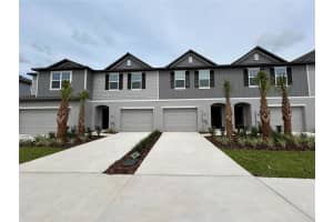 32067 EASTERN REDBUD BRANCH, SAN ANTONIO, FL 33576 - MLS#MFRTB8432272