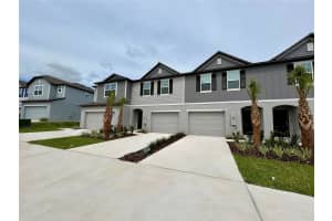 32067 EASTERN REDBUD BRANCH, SAN ANTONIO, FL 33576 - MLS#MFRTB8432272