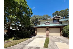 1460 MAHOGANY LANE, PALM HARBOR, FL 34683 - MLS#MFRTB8432282
