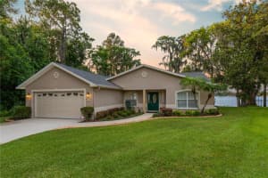 17527 CANAL SHORES DRIVE, ODESSA, FL 33556 - MLS#MFRTB8432297
