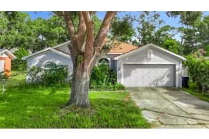 2517 Westhigh Ave, TAMPA