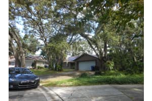 1243 ROYAL OAK DRIVE, DUNEDIN, FL 34698 - MLS#MFRTB8432315