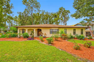501 2ND AVENUE, LUTZ, FL 33549 - MLS#MFRTB8432339