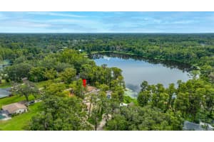 501 2ND AVENUE, LUTZ, FL 33549 - MLS#MFRTB8432339