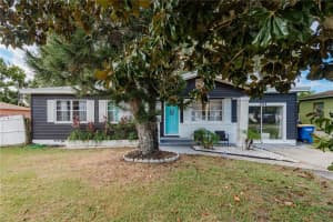 1313 PARKWOOD STREET, CLEARWATER, FL 33755 - MLS#MFRTB8432346
