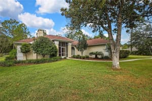 3275 DAFFODIL DRIVE, BEVERLY HILLS, FL 34465 - MLS#MFRTB8432348