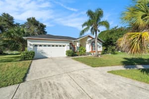 2009 NATRONA COURT, BRANDON, FL 33511 - MLS#MFRTB8432357
