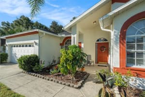 2009 NATRONA COURT, BRANDON, FL 33511 - MLS#MFRTB8432357