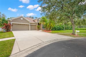 1209 EMERALD HILL WAY, VALRICO, FL 33594 - MLS#MFRTB8432358