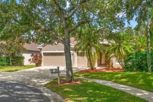 1209 EMERALD HILL WAY, VALRICO, FL 33594 - MLS#MFRTB8432358