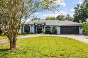 22946 BROWNWOOD COURT, LAND O LAKES, FL 34639 - MLS#MFRTB8432367
