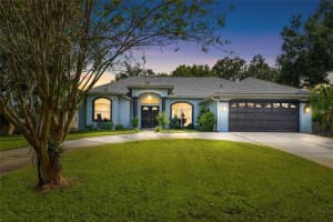 22946 BROWNWOOD COURT, LAND O LAKES, FL 34639 - MLS#MFRTB8432367