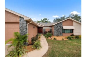 2097 WHITEWOOD AVENUE, SPRING HILL, FL 34609 - MLS#MFRTB8432370