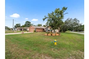 2097 WHITEWOOD AVENUE, SPRING HILL, FL 34609 - MLS#MFRTB8432370