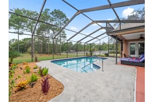 2097 WHITEWOOD AVENUE, SPRING HILL, FL 34609 - MLS#MFRTB8432370