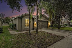 10512 WHITE PEACOCK PLACE, RIVERVIEW, FL 33578 - MLS#MFRTB8432377