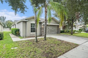 10512 WHITE PEACOCK PLACE, RIVERVIEW, FL 33578 - MLS#MFRTB8432377