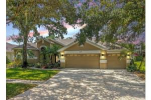 6107 IBISPARK DRIVE, LITHIA, FL 33547 - MLS#MFRTB8432380