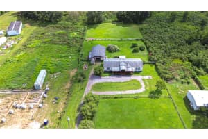 43650 COUNTY ROAD 54 E, KATHLEEN, FL 33849 - MLS#MFRTB8432383
