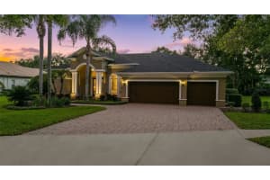 19708 WELLINGTON MANOR BOULEVARD, LUTZ, FL 33549 - MLS#MFRTB8432389