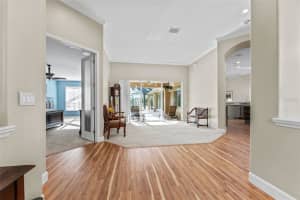 19708 WELLINGTON MANOR BOULEVARD, LUTZ, FL 33549 - MLS#MFRTB8432389