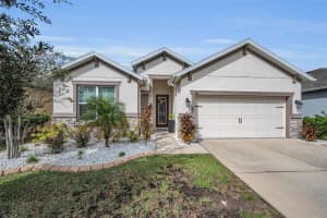944 OLD WINDSOR WAY, SPRING HILL, FL 34609 - MLS#MFRTB8432397