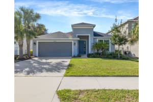 29774 Chapel Chase Dr, WESLEY CHAPEL
