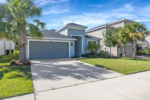 29774 CHAPEL CHASE DRIVE, WESLEY CHAPEL, FL 33545 - MLS#MFRTB8432407