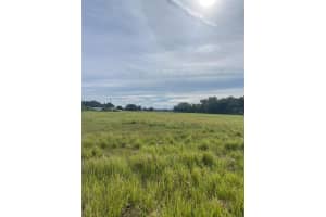 2908 WIGGINS ROAD, PLANT CITY, FL 33566 - MLS#MFRTB8432419