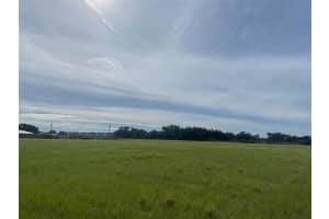 2908 WIGGINS ROAD, PLANT CITY, FL 33566 - MLS#MFRTB8432419