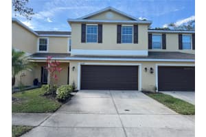 20314 STARFINDER WAY, TAMPA, FL 33647 - MLS#MFRTB8432438