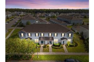 14863 PROMENADE PARKWAY, ODESSA, FL 33556 - MLS#MFRTB8432492