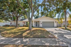 2445 OLD COACH TRAIL, CLEARWATER, FL 33765 - MLS#MFRTB8432507
