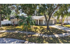 2445 OLD COACH TRAIL, CLEARWATER, FL 33765 - MLS#MFRTB8432507