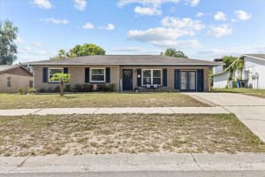 4008 TRUMAN DRIVE, SEFFNER, FL 33584 - MLS#MFRTB8432530