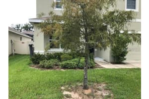 9918 WARM STONE STREET, THONOTOSASSA, FL 33592 Sold 12/12/25