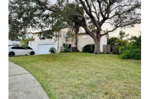 MLS# MFRTB8432540, Tarpon Springs, Florida 34689